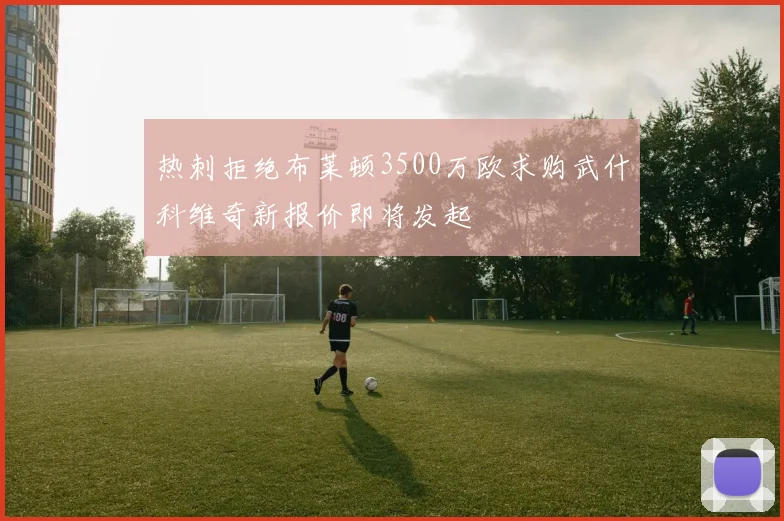 热刺拒绝布莱顿3500万欧求购武什科维奇新报价即将发起